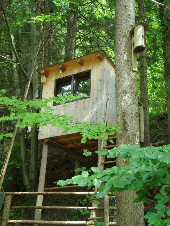 파이스테나우 Landhaus Teufl B&B 외부 사진
